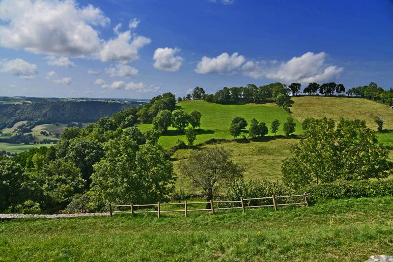 min 2023 08 13 Salers 141